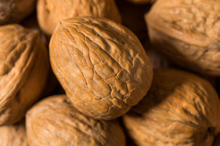Organic Raw Walnuts in the Shell Ready to Eat