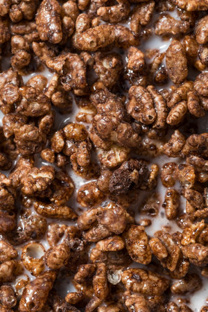 Sweet Dark Chocolate Breakfast Cereal with Whole Milk