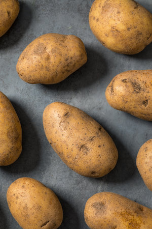 Raw Organic Brown Russet Potatoes in a bunchの写真素材