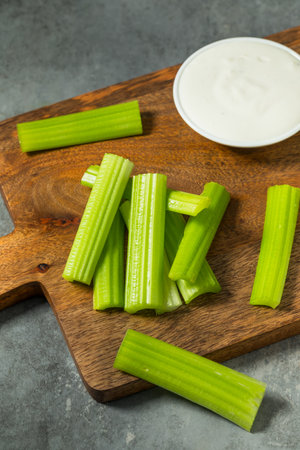 Green Raw Organic Celery Sticks with Ranch Sauceの写真素材