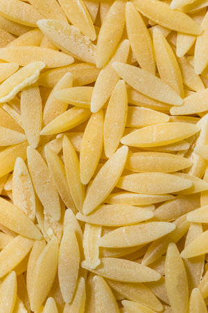 Organic Dried Orzo Pasta in a Bowl to Cook