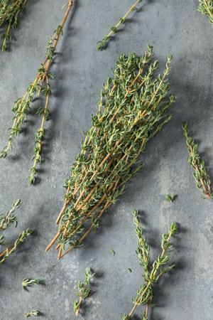 Raw Green Organic Fresh Thyme in a Bunch