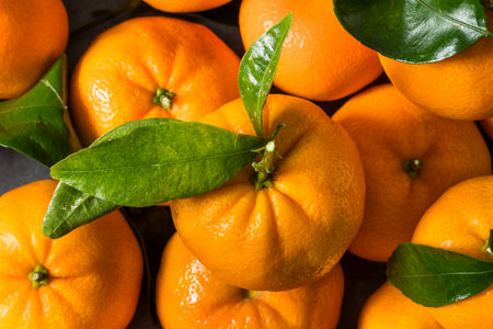 Organic Raw Clementine Tangerine Oranges with Green Leaves in a Bunch