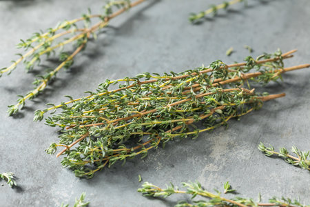 Raw Green Organic Fresh Thyme in a Bunch