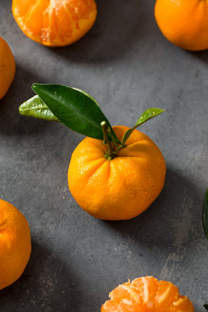 Organic Raw Clementine Tangerine Oranges with Green Leaves in a Bunchの写真素材