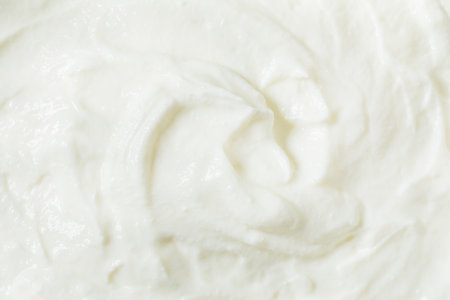 Organic Whole Fat Greek Yogurt for Breakfast Ready to Eatの写真素材