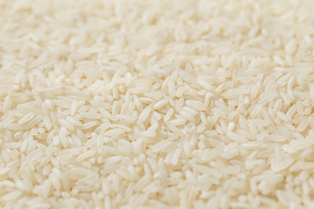 Organic Japanese Basmati Long White Rice in a Spoonの写真素材