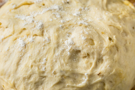 Healthy Homemade Pizza Dough Recipe with Sauce and Cheese