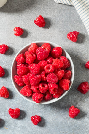 Organic Raw Red Raspberries Ready to Eat