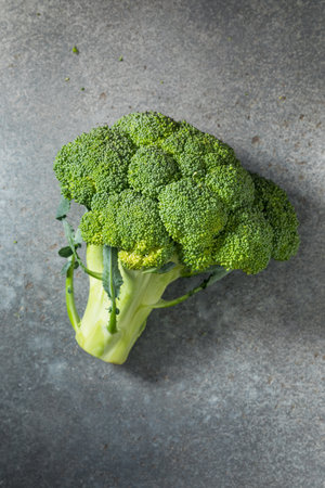 Raw Organic Green Broccoli Head Ready to Cook With
