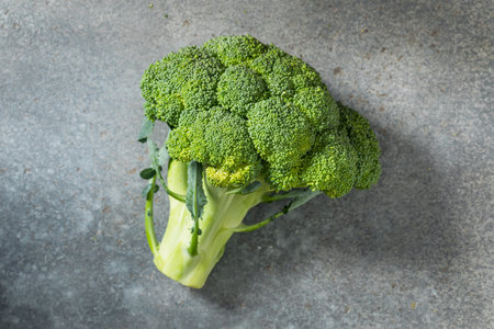 Raw Organic Green Broccoli Head Ready to Cook With