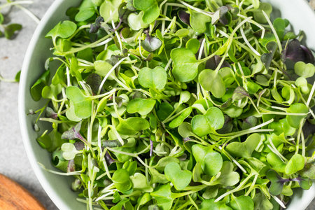 Raw Organic Microgreen Sprouts in a Bowl to Eat