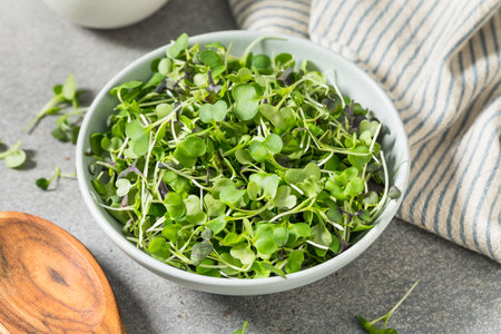 Raw Organic Microgreen Sprouts in a Bowl to Eat