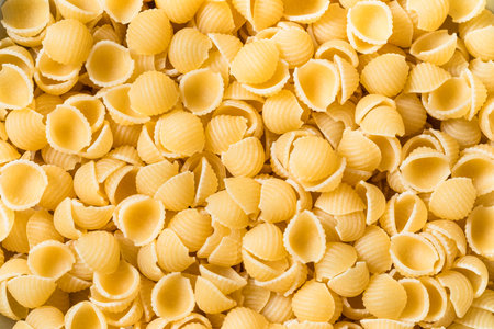 Dry Organic Macaroni Pasta Shells in a Bowl to Cookの写真素材