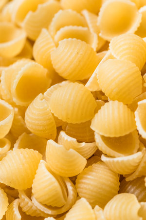Dry Organic Macaroni Pasta Shells in a Bowl to Cook