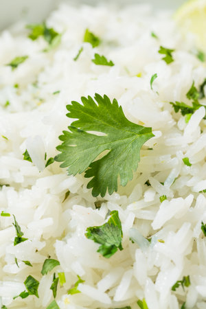 Homemade Mexican Cilantro Lime Rice in a Bowl to Eatの写真素材