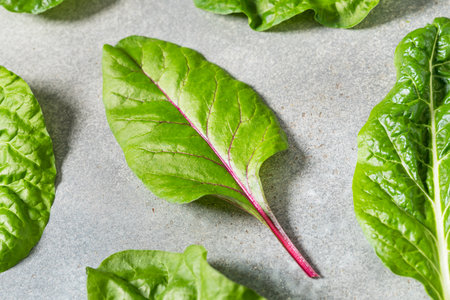 Organic Raw Rainbow Swiss Chard Ready to Cook Withの写真素材