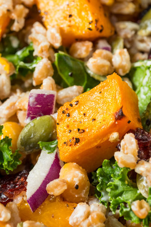 Homemade Organic Harvest Farro Butternut Squash Salad with Kaleの写真素材