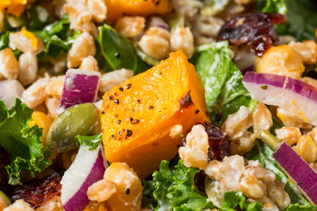 Homemade Organic Harvest Farro Butternut Squash Salad with Kaleの写真素材
