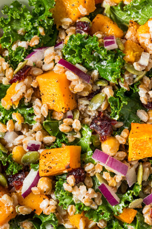Homemade Organic Harvest Farro Butternut Squash Salad with Kaleの写真素材