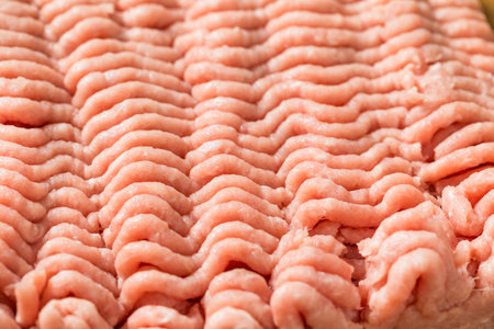 Raw Ground Minced Turkey Meat Ready to Cook With