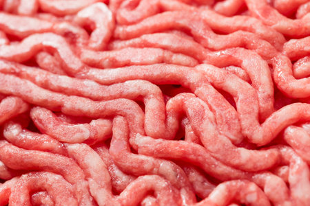 Raw Organic Grass Fed Packaged Ground Beef Ready to Cook