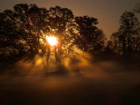 Foggy Sunriseの写真素材