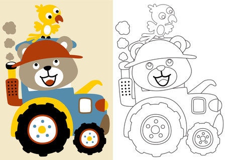 vector cartoon of cute bear drive tractor with bird on it head, coloring book or pageのイラスト素材