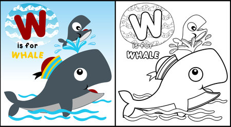 Coloring book of whale in sailor capのイラスト素材