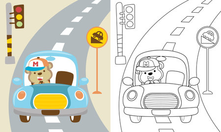 Vector cartoon of funny monkey driving car in the road, coloring book or pageのイラスト素材