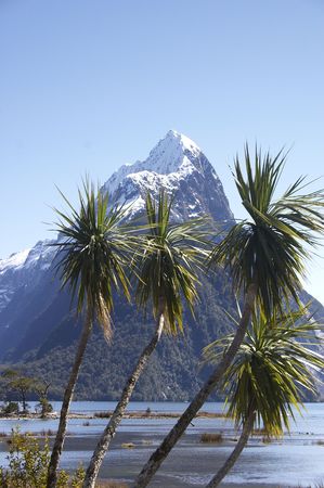 Mitre peak, New-Zealand at Milford Soundの写真素材
