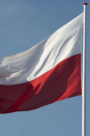 flag polandの写真素材