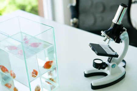 Microscope put on the table near fish glassの写真素材