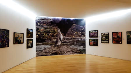 BANGKOK, THAILAND - JANUARY 11, 2018: Penguin and other photos are shown as gallery in Bangkok Art & Culture Centreのeditorial素材