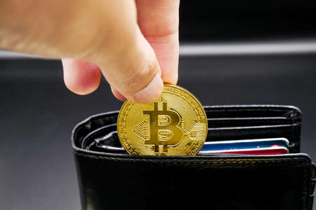 physical version of bitcoin and leather wallet and credit card  that is a new virtual money world...
