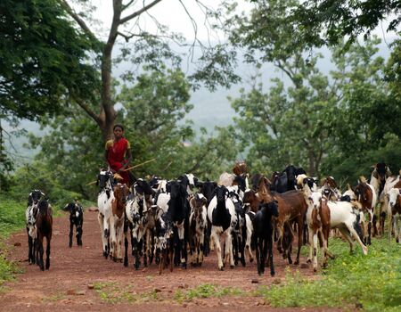 Natureの写真素材