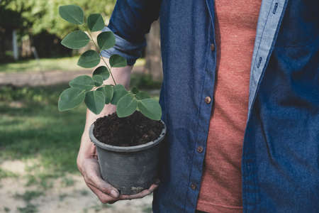 The young man is planting tree in the garden to preserve environment concept, nature, world,ecology...