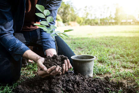 The young man is planting tree in the garden to preserve environment concept, nature, world,ecology and reduce air pollution.の写真素材