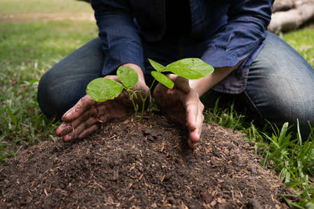 The young man is planting the tree in the garden to preserve environment concept, nature, world, ecology and reduce air pollution.の写真素材