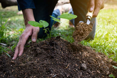 The young man is planting the tree in the garden to preserve environment concept, nature, world,...