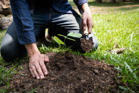 The young man is planting the tree in the garden to preserve environment concept, nature, world,...