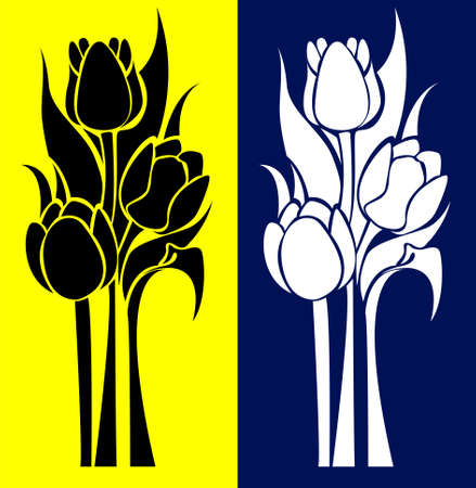 Beautiful black and white tulip flowers isolated on yellow and blue backgroundのイラスト素材