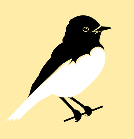 Beautiful black and white bird art isolated on light backgroundのイラスト素材