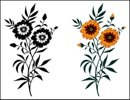 Beautiful flower design isolated on white background - vector illustrationのイラスト素材