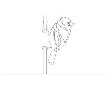 Sparrow bird in continuous line art drawing style. Black linear sketch isolated on white background. Vector illustrationのイラスト素材