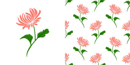 Pink Chrysanthemum flower with green leaves isolated on white background is in Seamless pattern - vector illustrationのイラスト素材