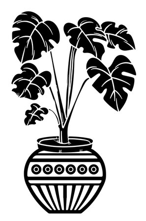Digital art of Monstera plant in decorated traditional Pot isolated on white background - vector illustrationのイラスト素材