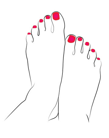 Beautiful woman feet with red nail polish line drawing isolated on white background - vector illustrationのイラスト素材
