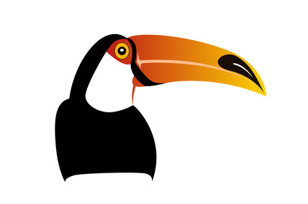 Colorful Abstract drawing of Toucan bird isolated on white background - vector illustrationのイラスト素材
