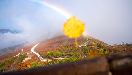 Autumn landscape with colorful forest and rainbow over the mountain road.の素材